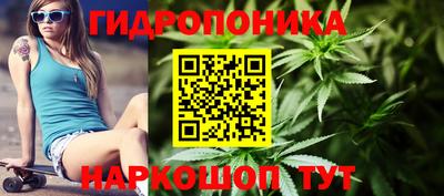 крисы Кунгур
