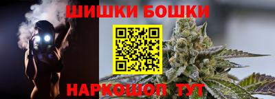 крисы Кунгур